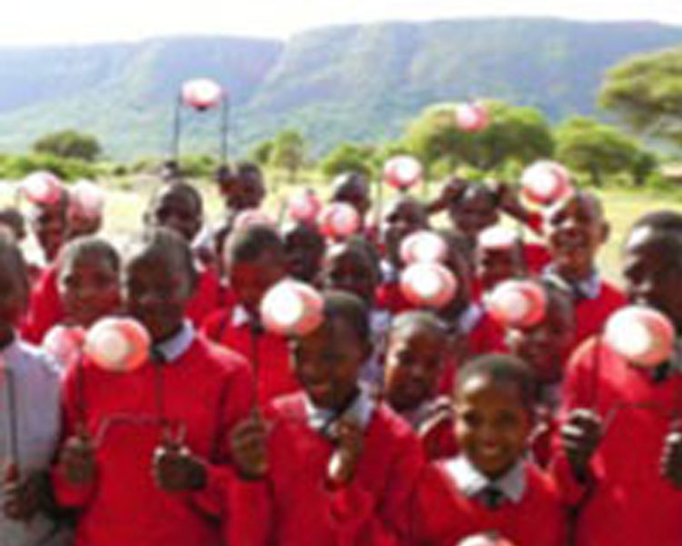 GCS has expanded its business to include distribution of solar lights (like these from GE) and other technologies