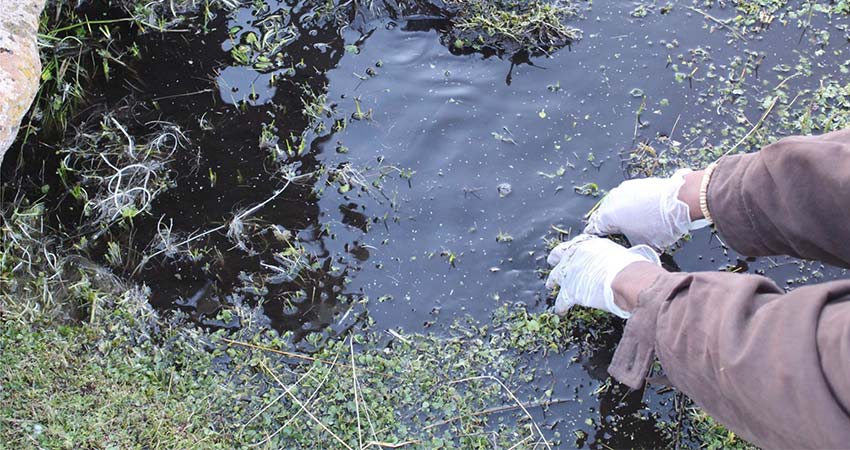 two glove hands at right reaching into a small natural pool of water.